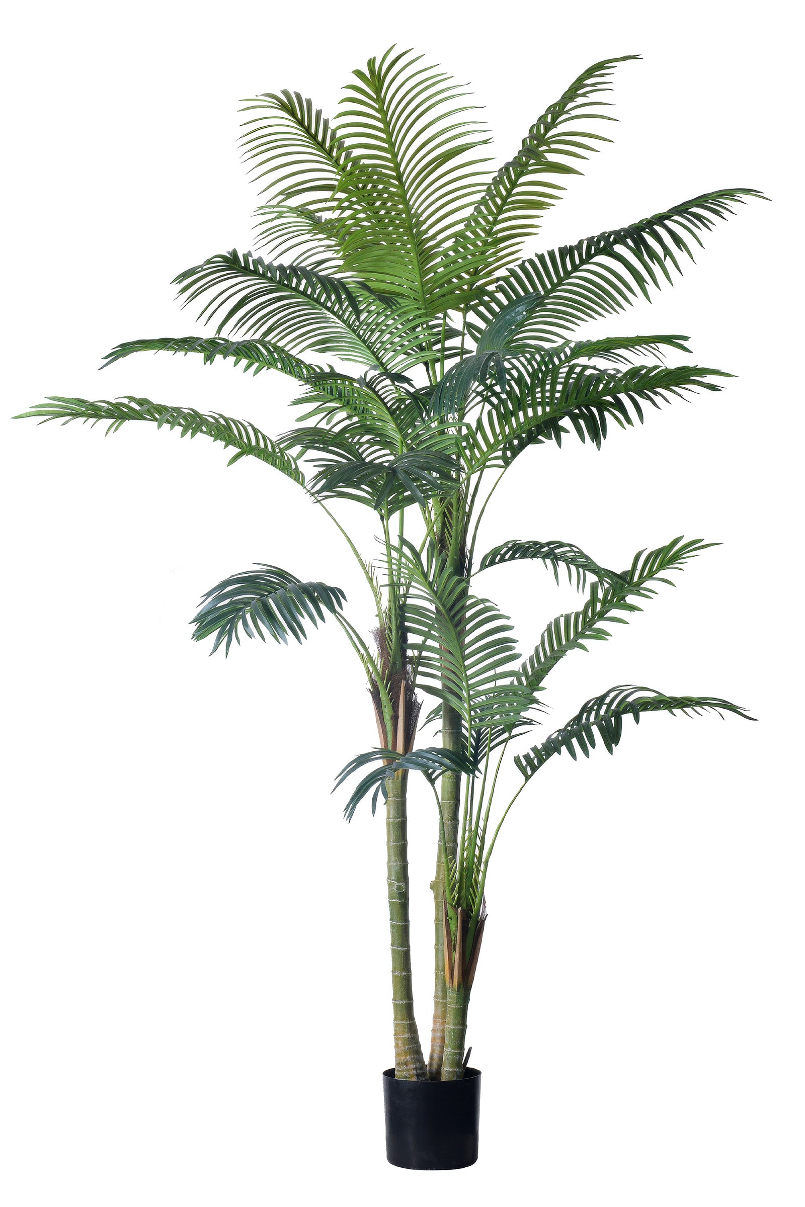 Palm E: Artificial Palm with Cane Palm Trunks and Palm Hair