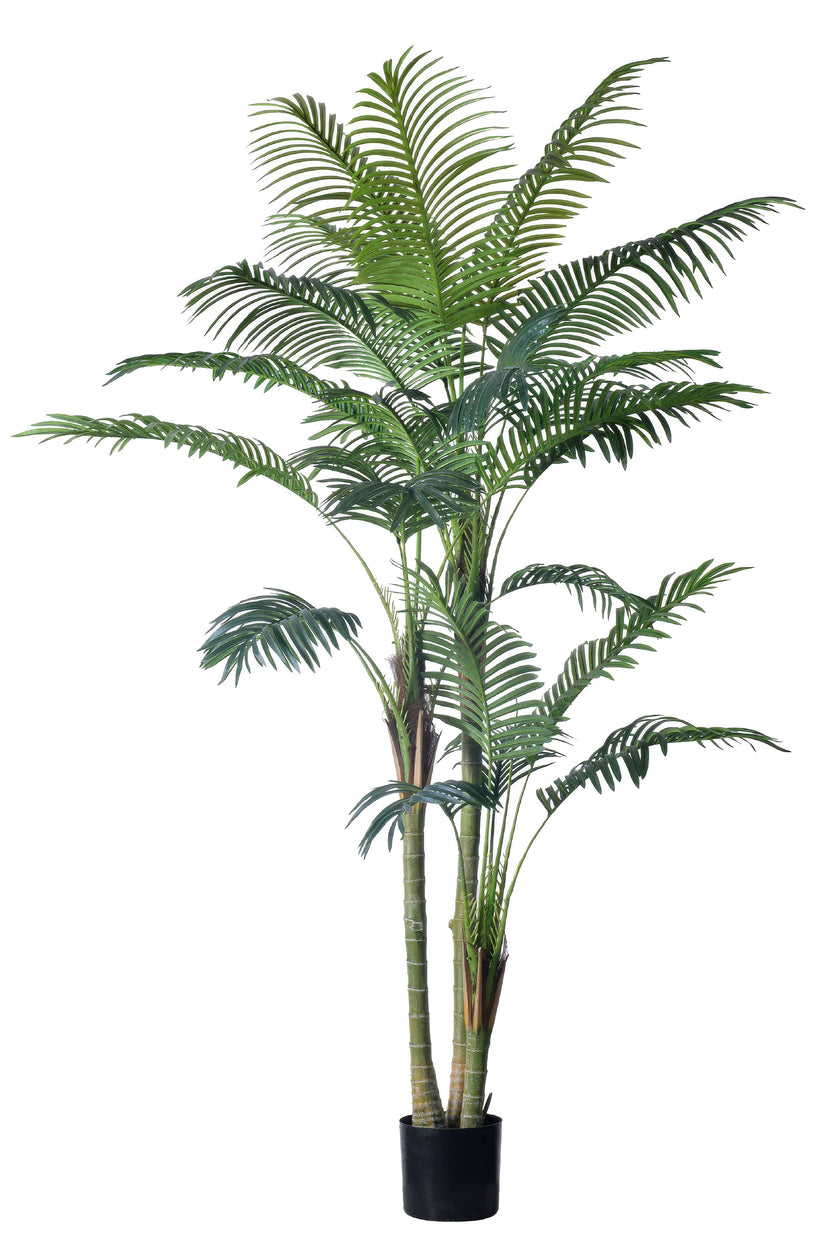 Palm E: Artificial Palm with Cane Palm Trunks and Palm Hair