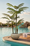 Palm E: Artificial Palm with Cane Palm Trunks and Palm Hair