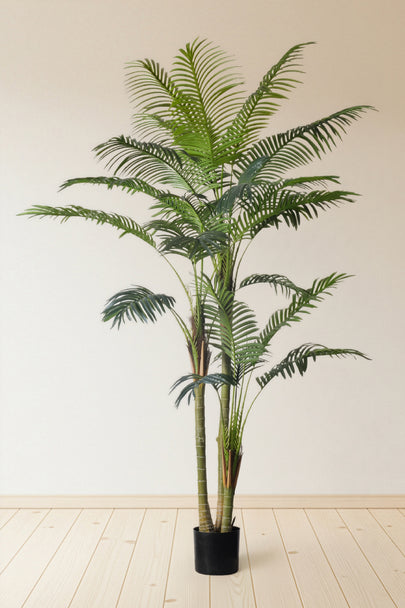Palm E: Artificial Palm with Cane Palm Trunks and Palm Hair