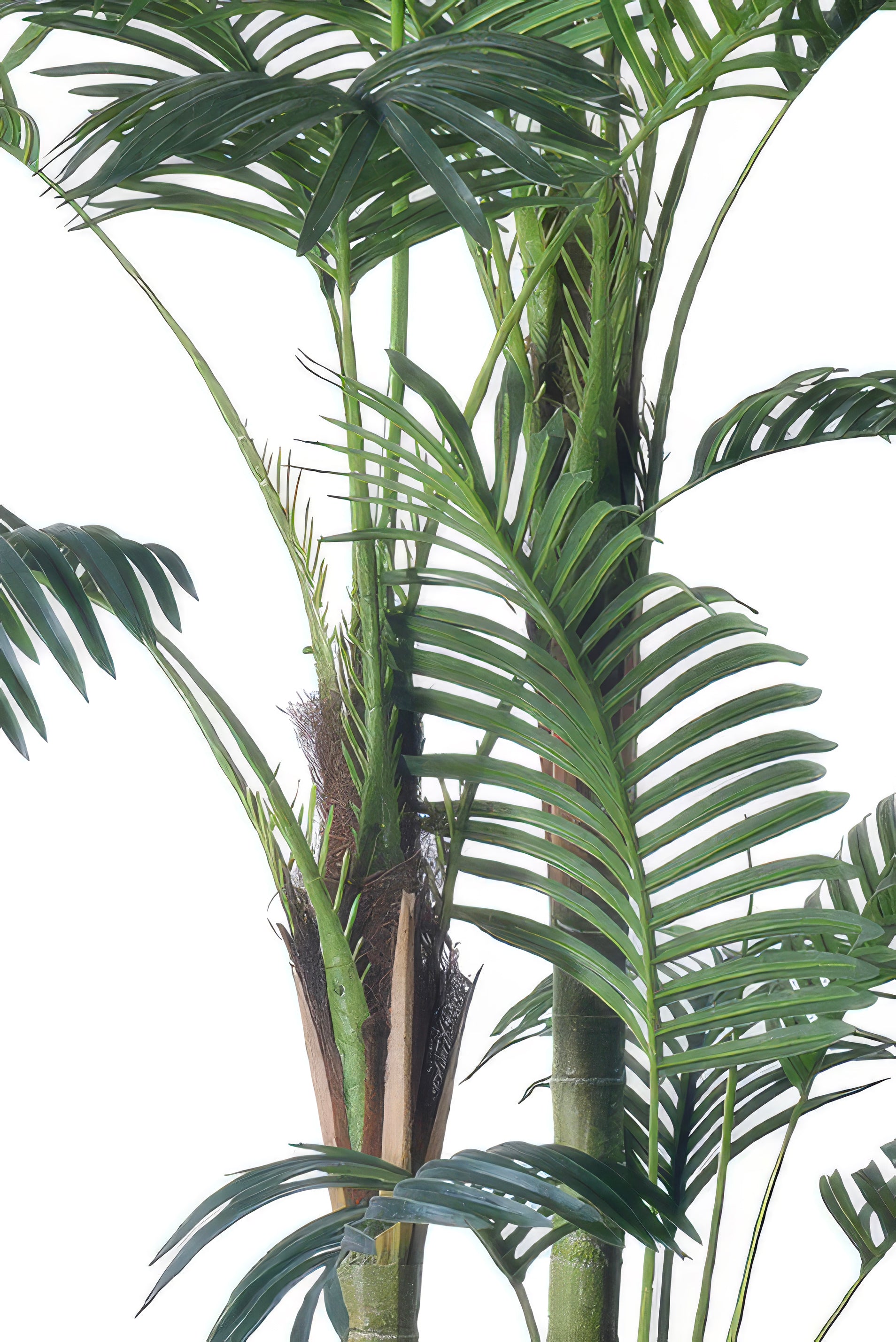 Palm E: Artificial Palm with Cane Palm Trunks and Palm Hair