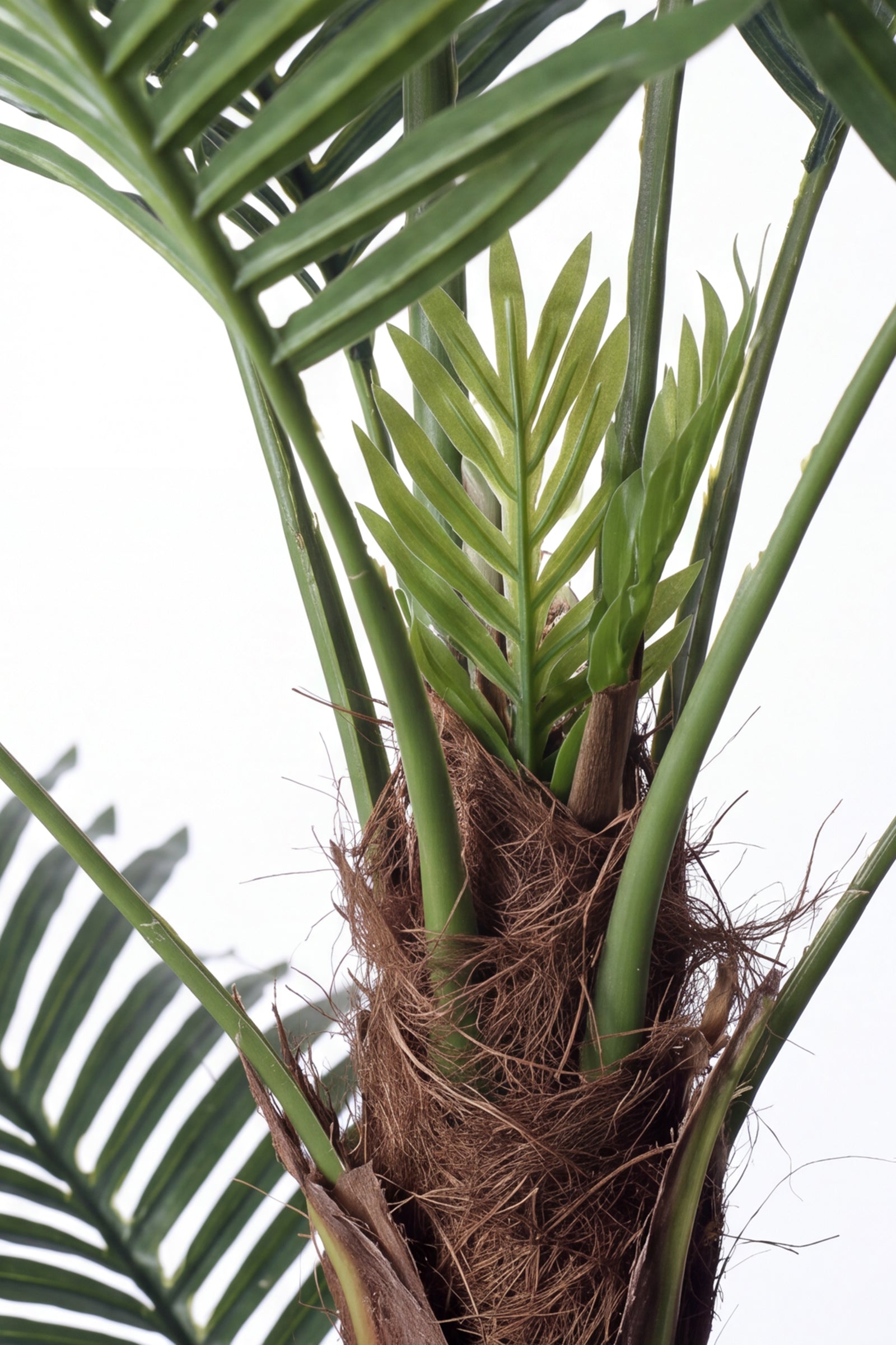 Palm E: Artificial Palm with Cane Palm Trunks and Palm Hair