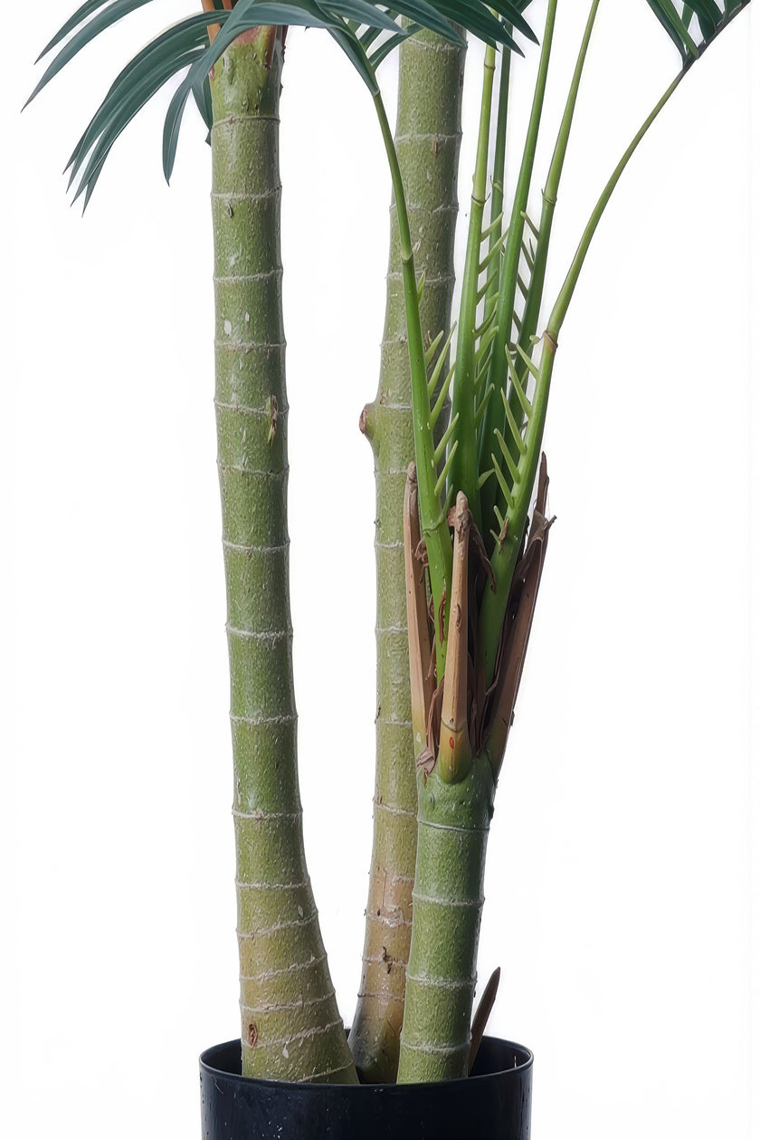 Palm E: Artificial Palm with Cane Palm Trunks and Palm Hair