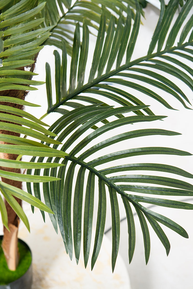 Palm F: Artificial Areca Palm Tree with Fiber Trunk and Tall White Planter
