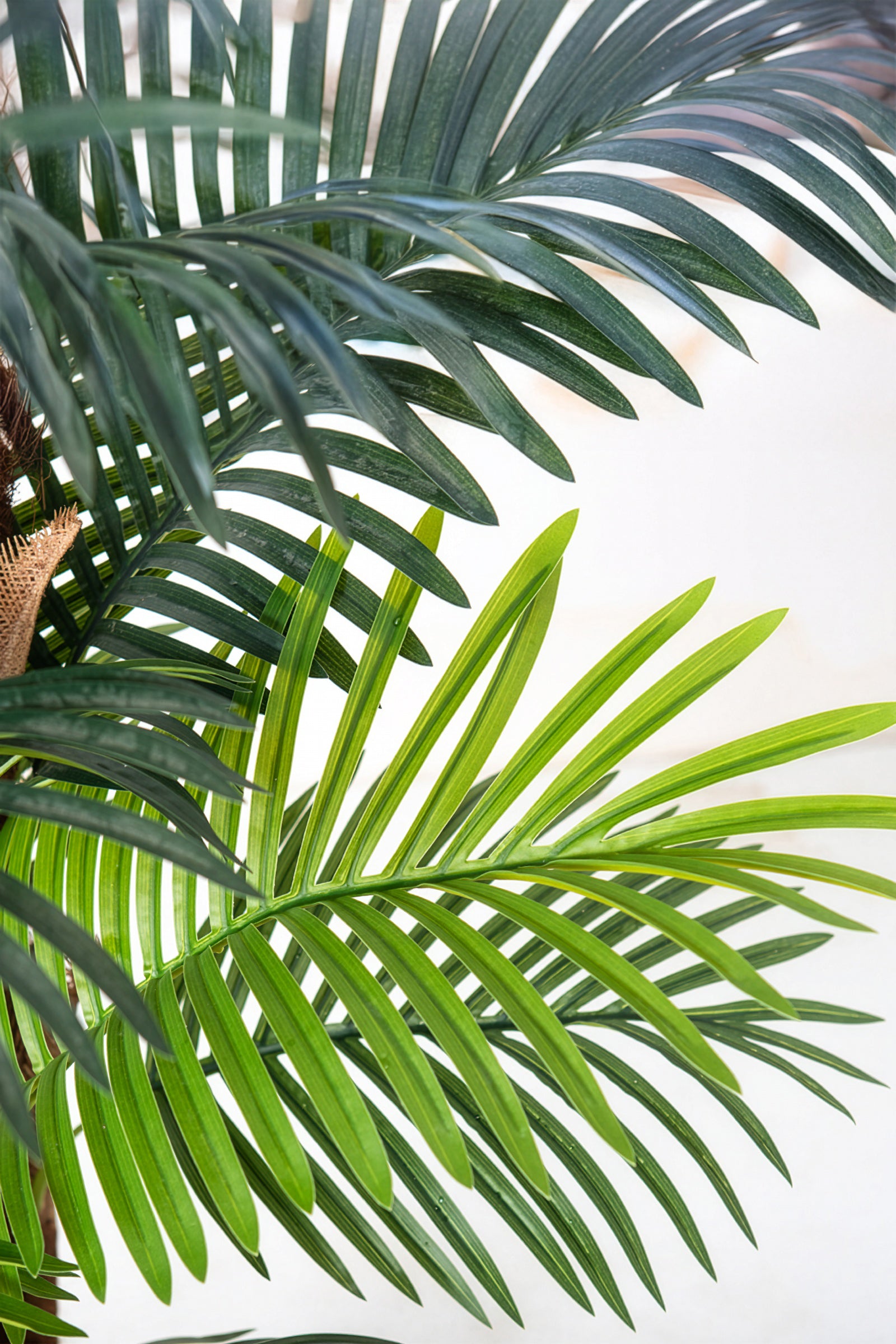 Palm F: Artificial Areca Palm Tree with Fiber Trunk and Tall White Planter
