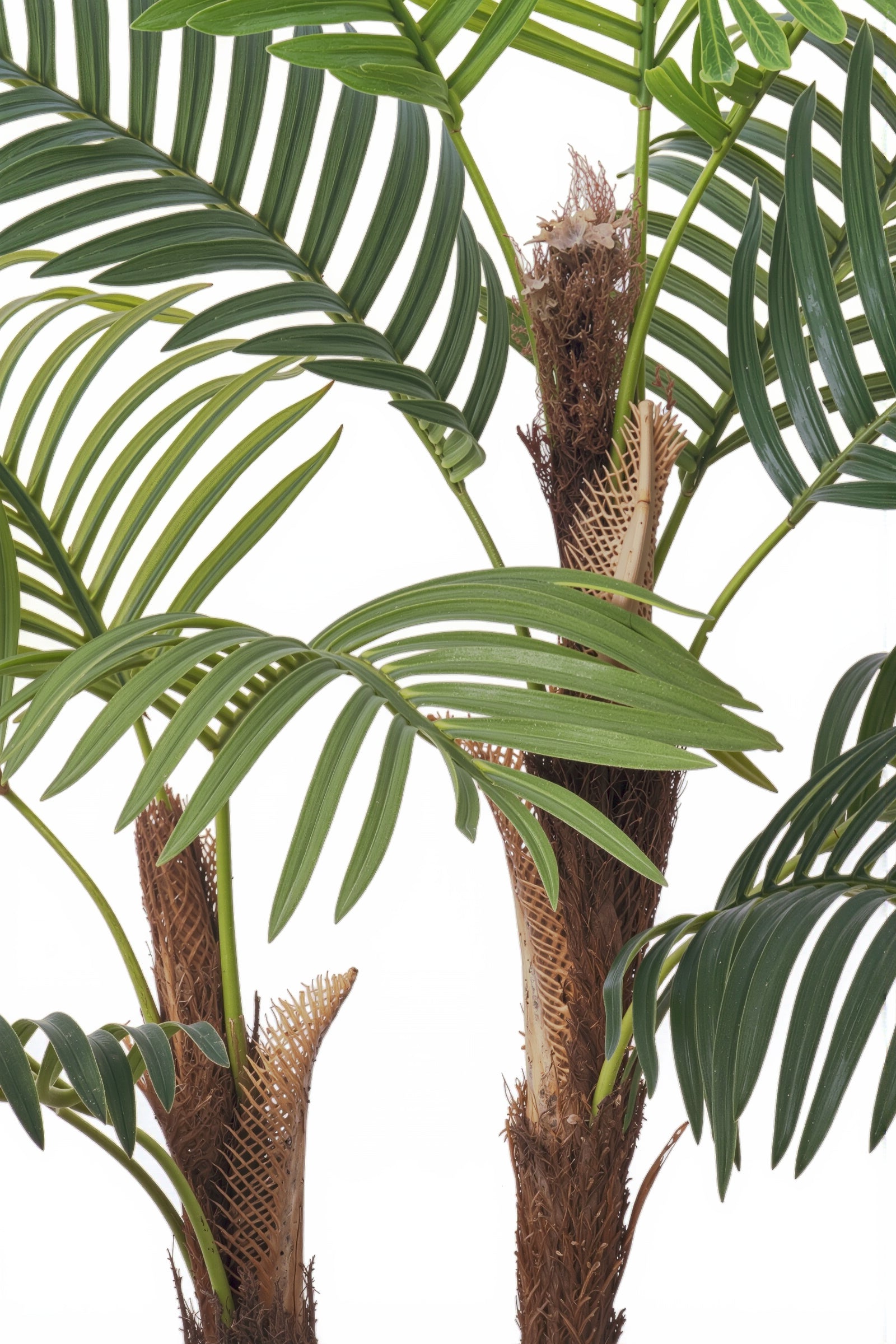 Palm F: Artificial Areca Palm Tree with Fiber Trunk and Tall White Planter