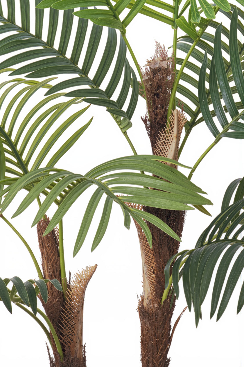 Palm F: Artificial Areca Palm Tree with Fiber Trunk and Tall White Planter