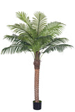 Palm G: Large Artificial Phoenix Palm Tree with Thick Single Trunk