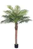 Palm G: Large Artificial Phoenix Palm Tree with Thick Single Trunk
