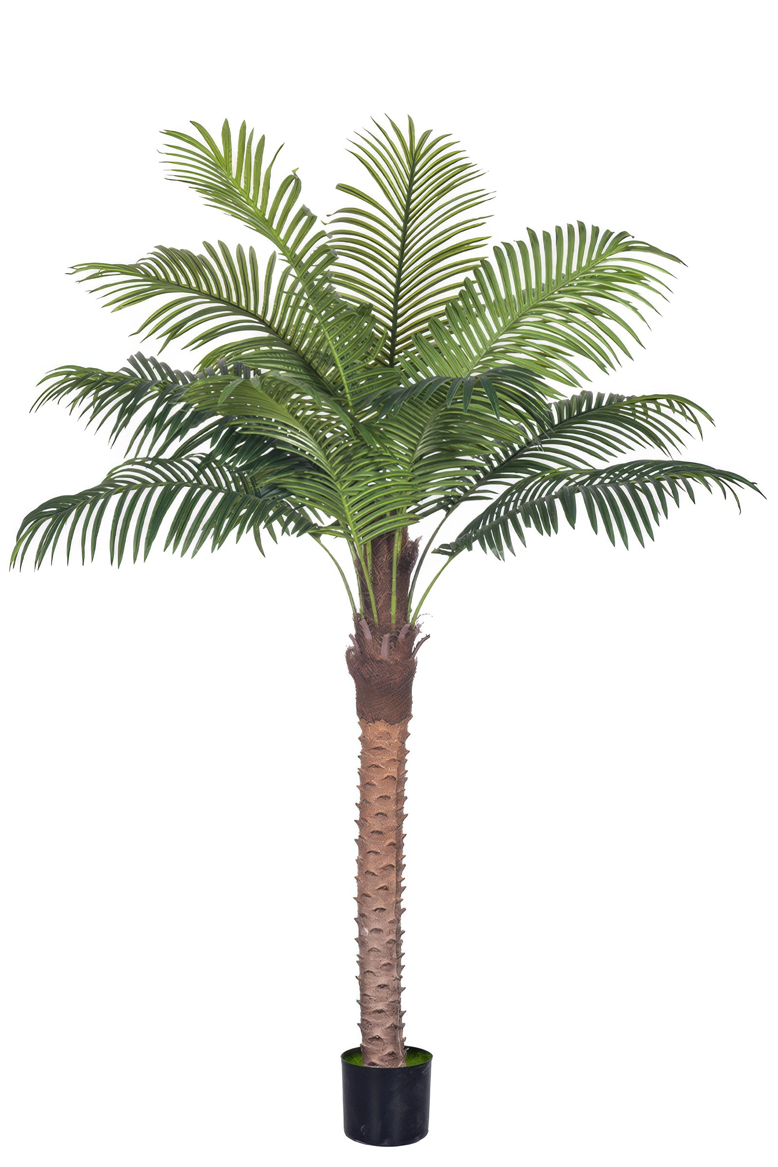 Palm G: Large Artificial Phoenix Palm Tree with Thick Single Trunk
