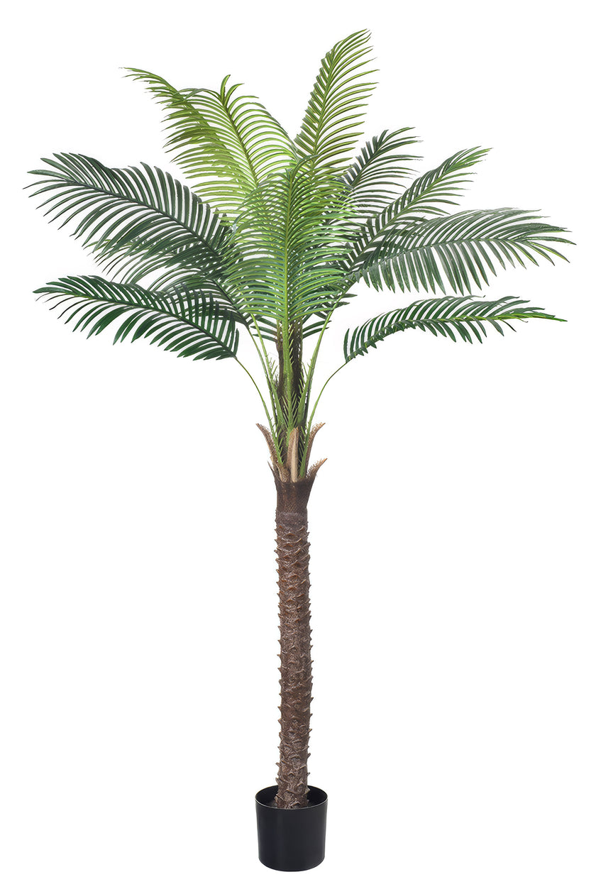Palm G: Large Artificial Phoenix Palm Tree with Thick Single Trunk