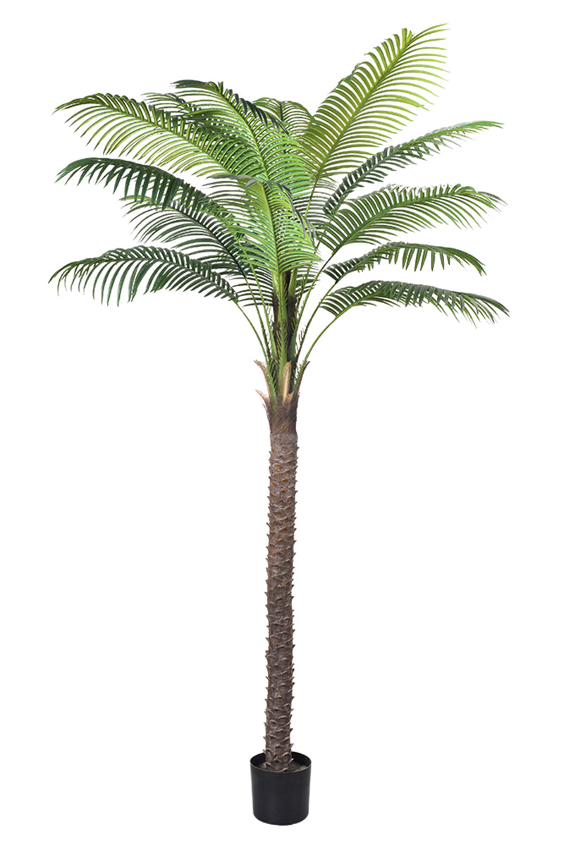 Palm G: Large Artificial Phoenix Palm Tree with Thick Single Trunk