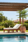 Palm G: Large Artificial Phoenix Palm Tree with Thick Single Trunk