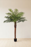 Palm G: Large Artificial Phoenix Palm Tree with Thick Single Trunk