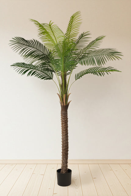 Palm G: Large Artificial Phoenix Palm Tree with Thick Single Trunk