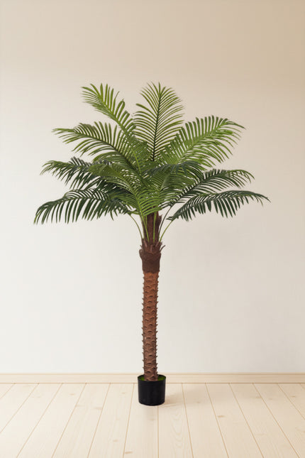 Palm G: Large Artificial Phoenix Palm Tree with Thick Single Trunk