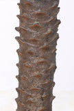 Palm G: Large Artificial Phoenix Palm Tree with Thick Single Trunk