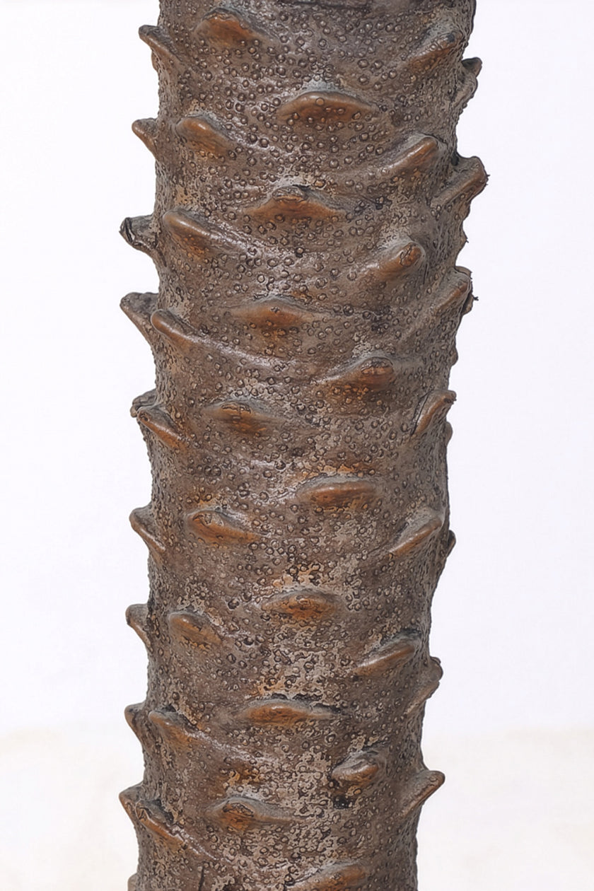 Palm G: Large Artificial Phoenix Palm Tree with Thick Single Trunk