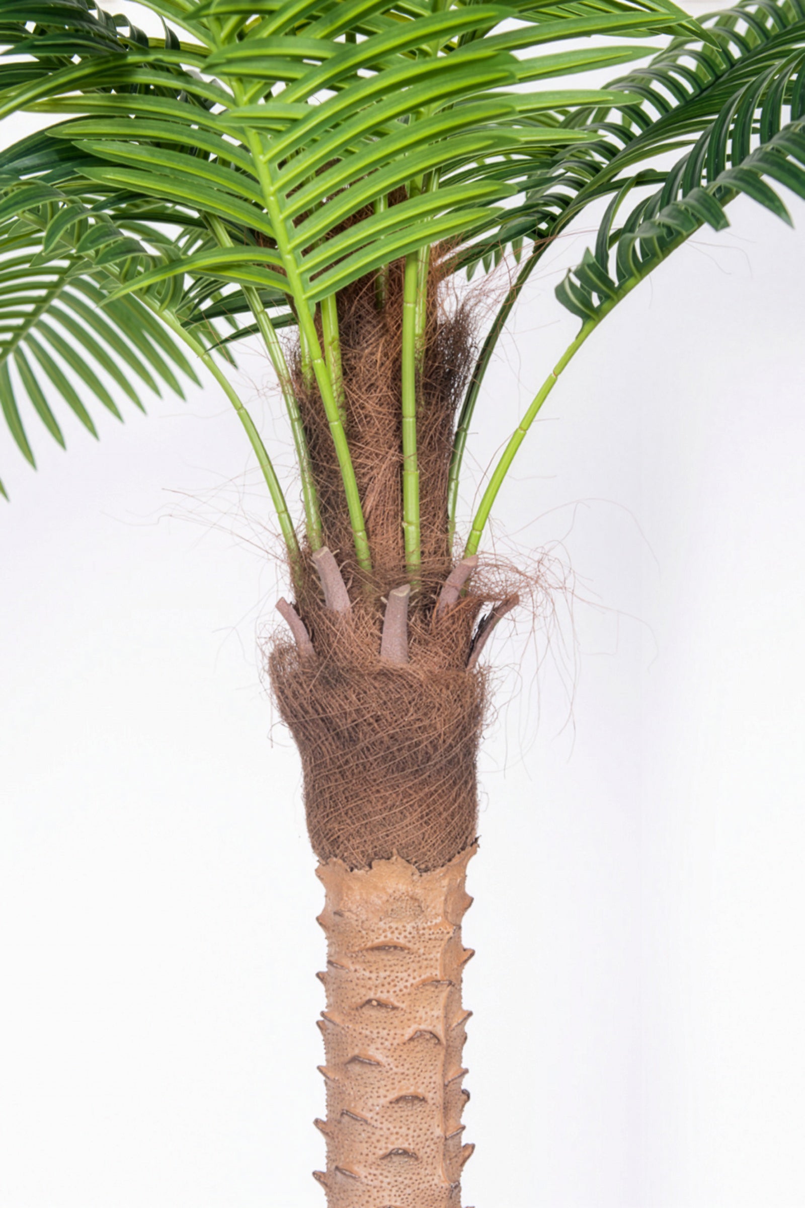 Palm G: Large Artificial Phoenix Palm Tree with Thick Single Trunk