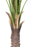 Palm G: Large Artificial Phoenix Palm Tree with Thick Single Trunk