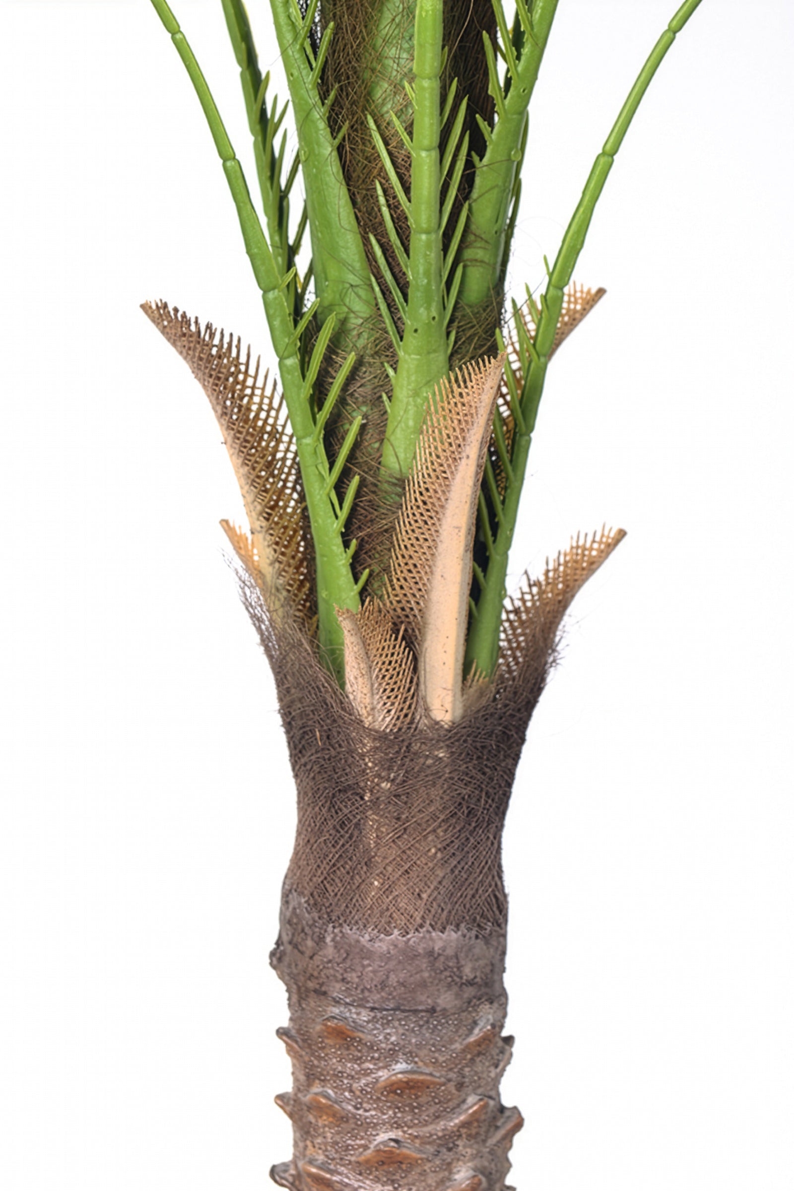 Palm G: Large Artificial Phoenix Palm Tree with Thick Single Trunk