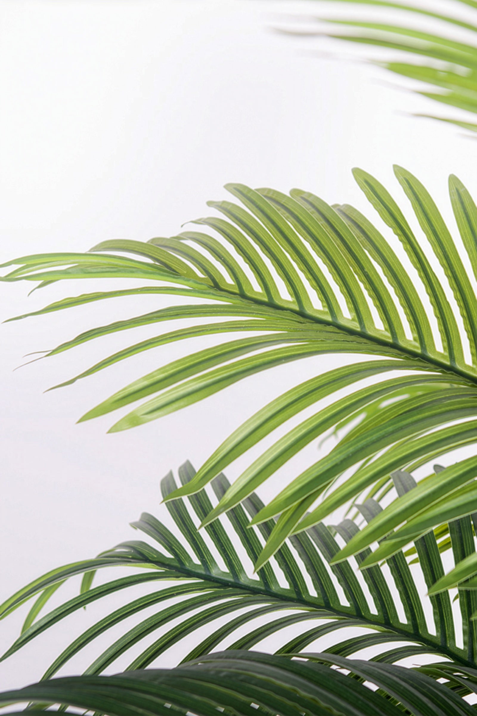 Palm G: Large Artificial Phoenix Palm Tree with Thick Single Trunk