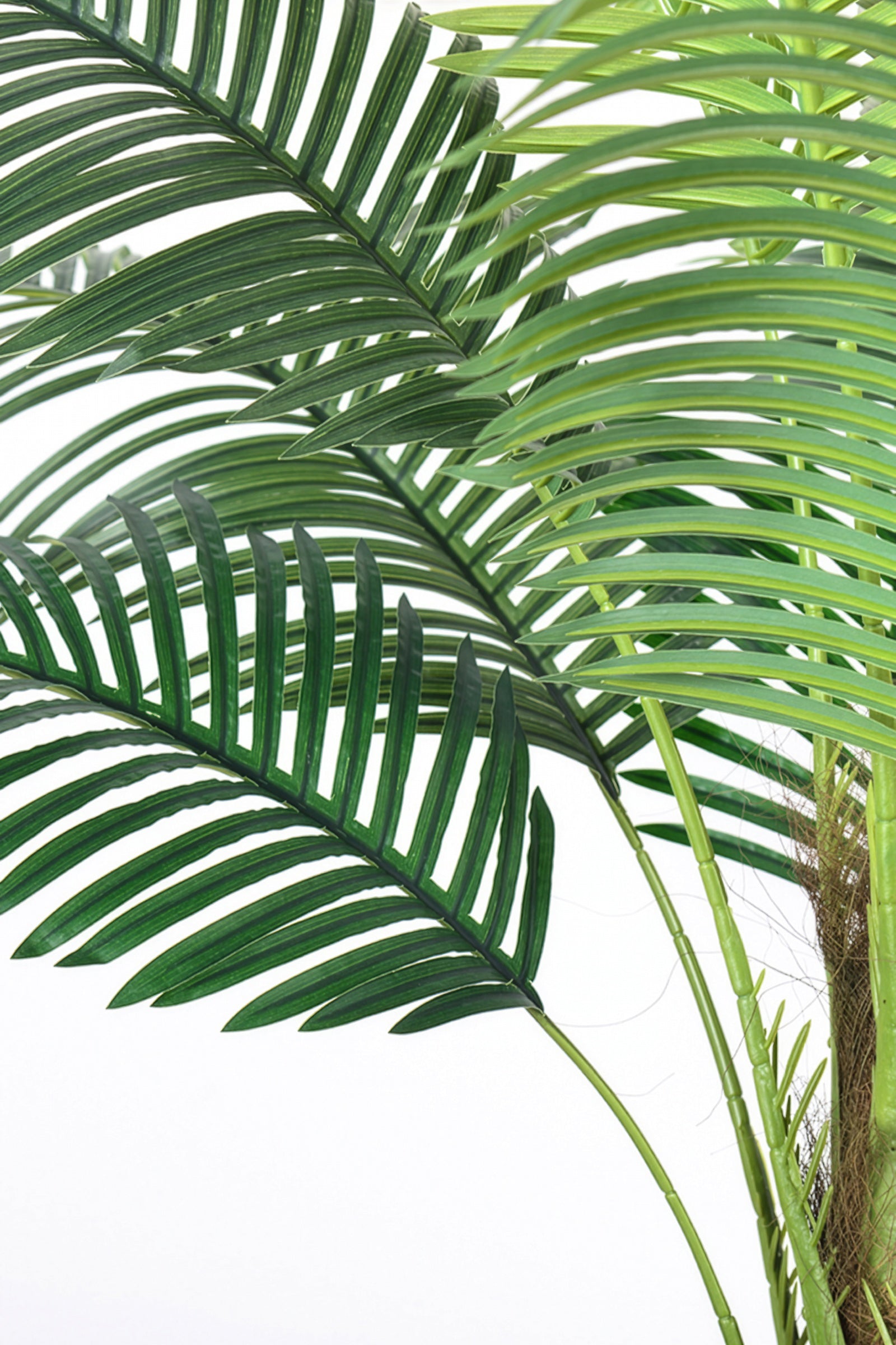 Palm G: Large Artificial Phoenix Palm Tree with Thick Single Trunk
