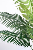 Palm G: Large Artificial Phoenix Palm Tree with Thick Single Trunk