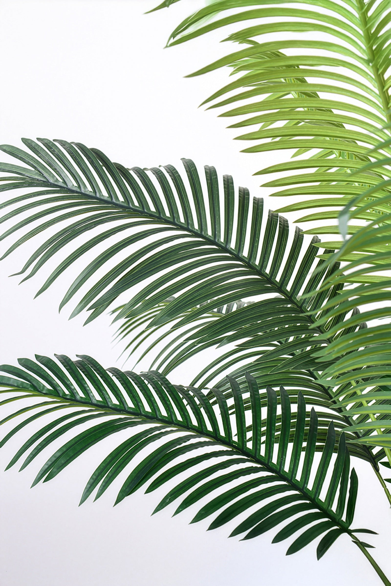 Palm G: Large Artificial Phoenix Palm Tree with Thick Single Trunk