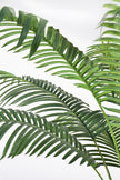 Palm G: Large Artificial Phoenix Palm Tree with Thick Single Trunk