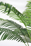Palm G: Large Artificial Phoenix Palm Tree with Thick Single Trunk
