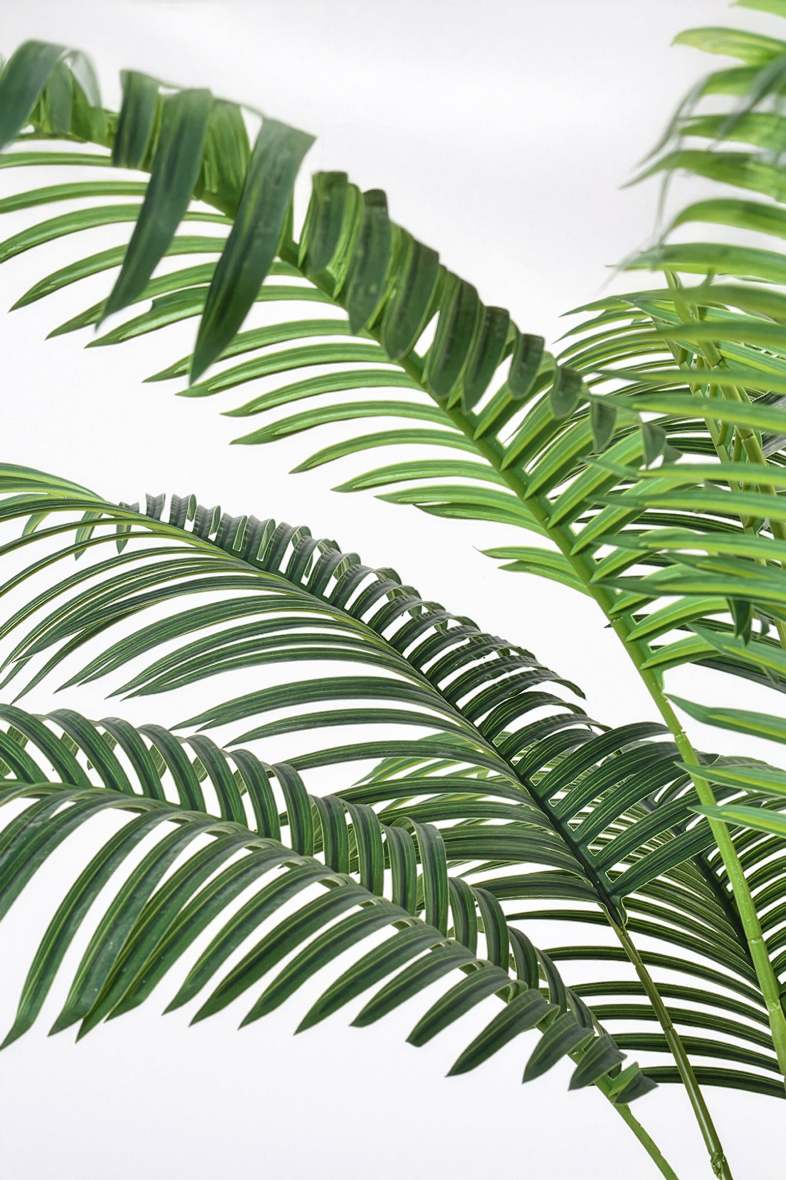 Palm G: Large Artificial Phoenix Palm Tree with Thick Single Trunk