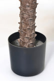 Palm G: Large Artificial Phoenix Palm Tree with Thick Single Trunk