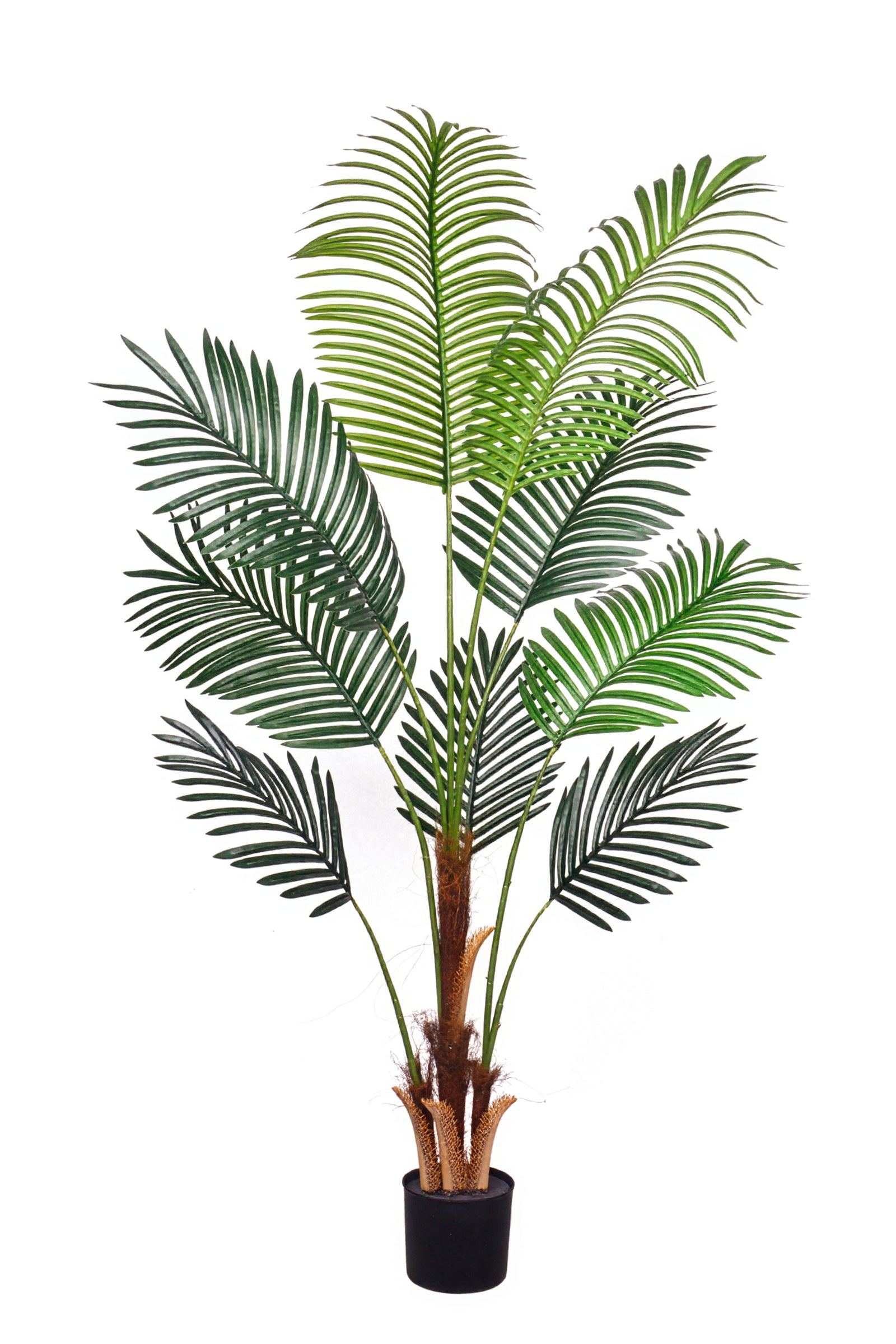 Palm H: Artificial Palm Tree with Realistic Palm Fiber Trunk