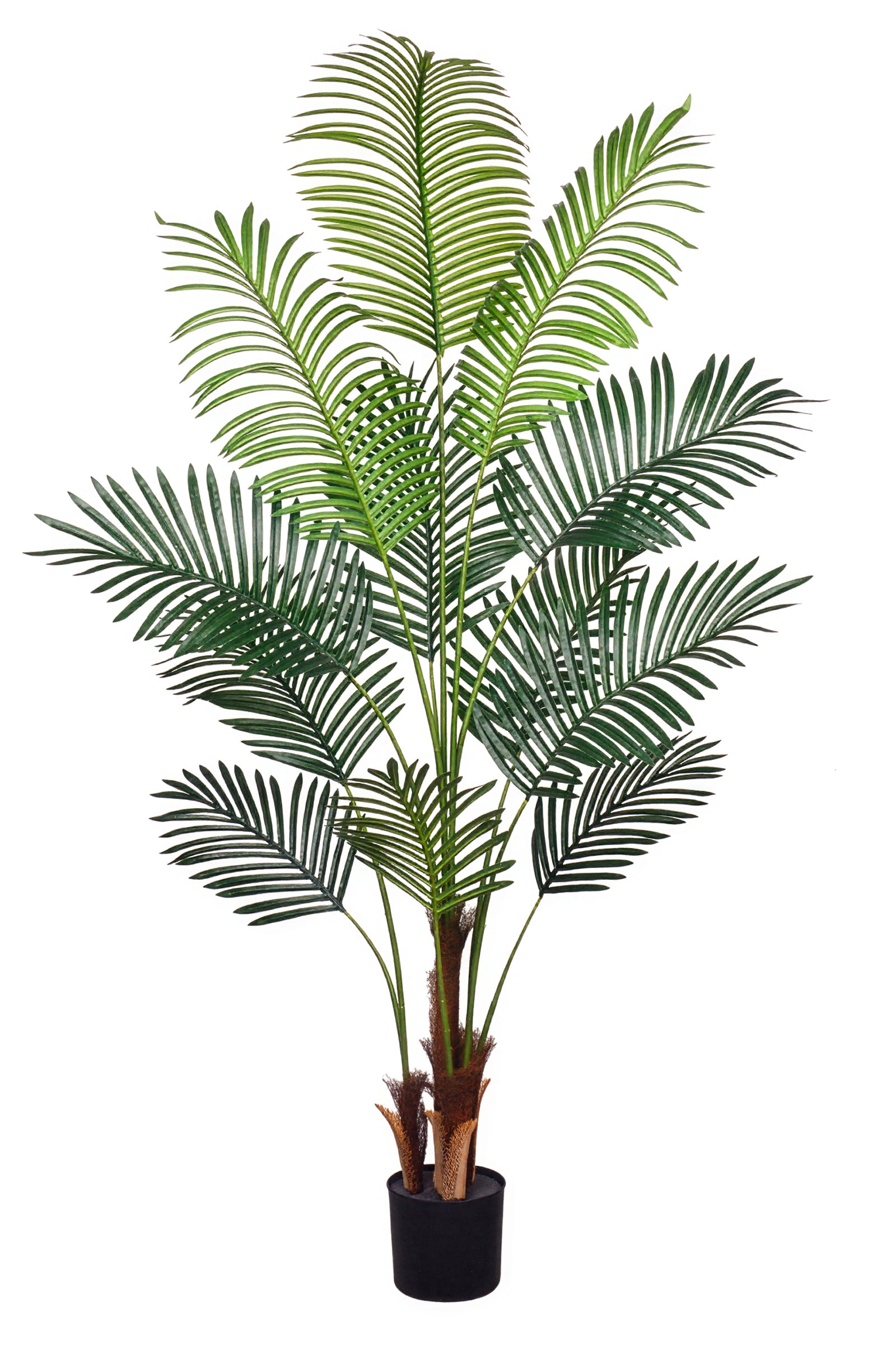 Palm H: Artificial Palm Tree with Realistic Palm Fiber Trunk