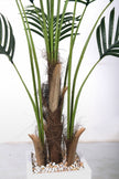 Palm H: Artificial Palm Tree with Realistic Palm Fiber Trunk