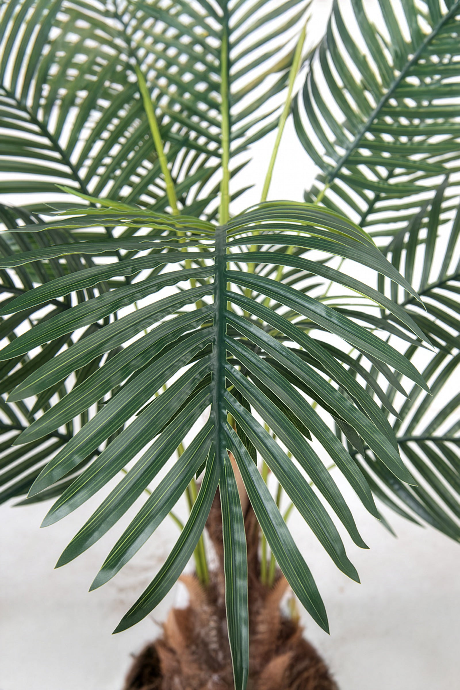 Palm H: Artificial Palm Tree with Realistic Palm Fiber Trunk
