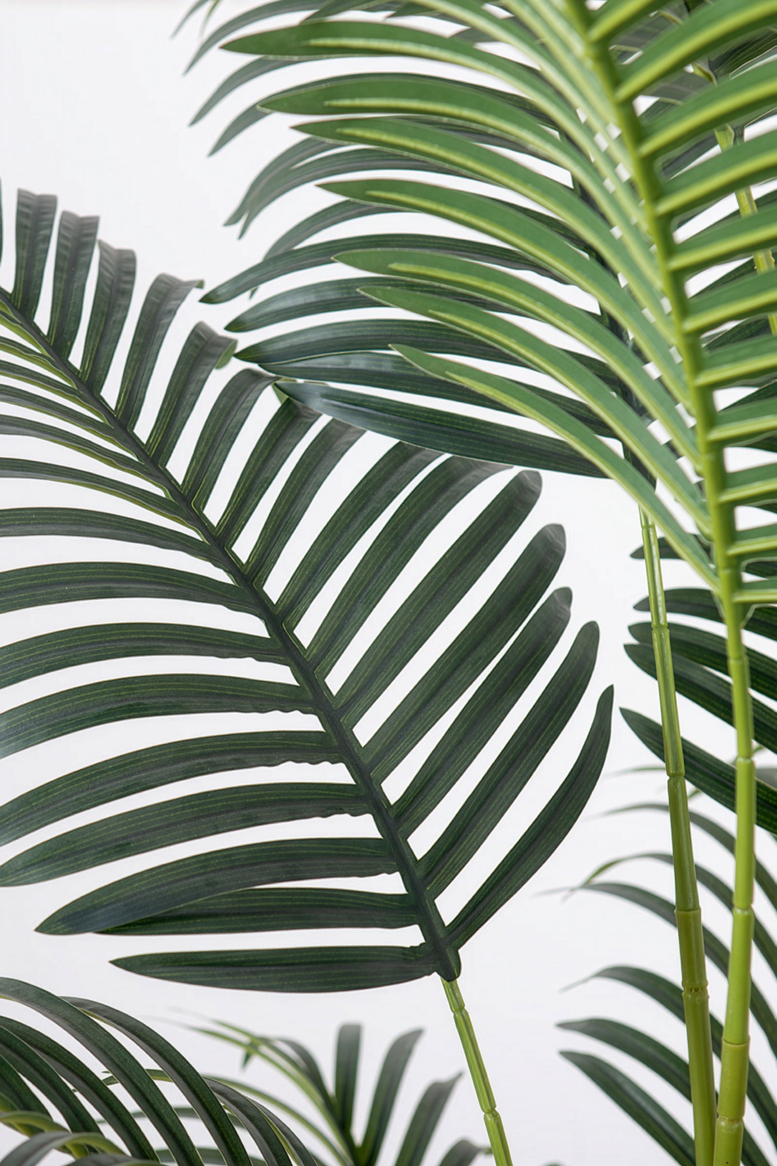 Palm H: Artificial Palm Tree with Realistic Palm Fiber Trunk