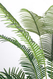 Palm H: Artificial Palm Tree with Realistic Palm Fiber Trunk and Tall Planter