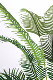 Palm H: Artificial Palm Tree with Realistic Palm Fiber Trunk
