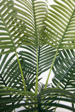 Palm H: Artificial Palm Tree with Realistic Palm Fiber Trunk