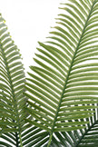 Palm H: Artificial Palm Tree with Realistic Palm Fiber Trunk and Tall Planter