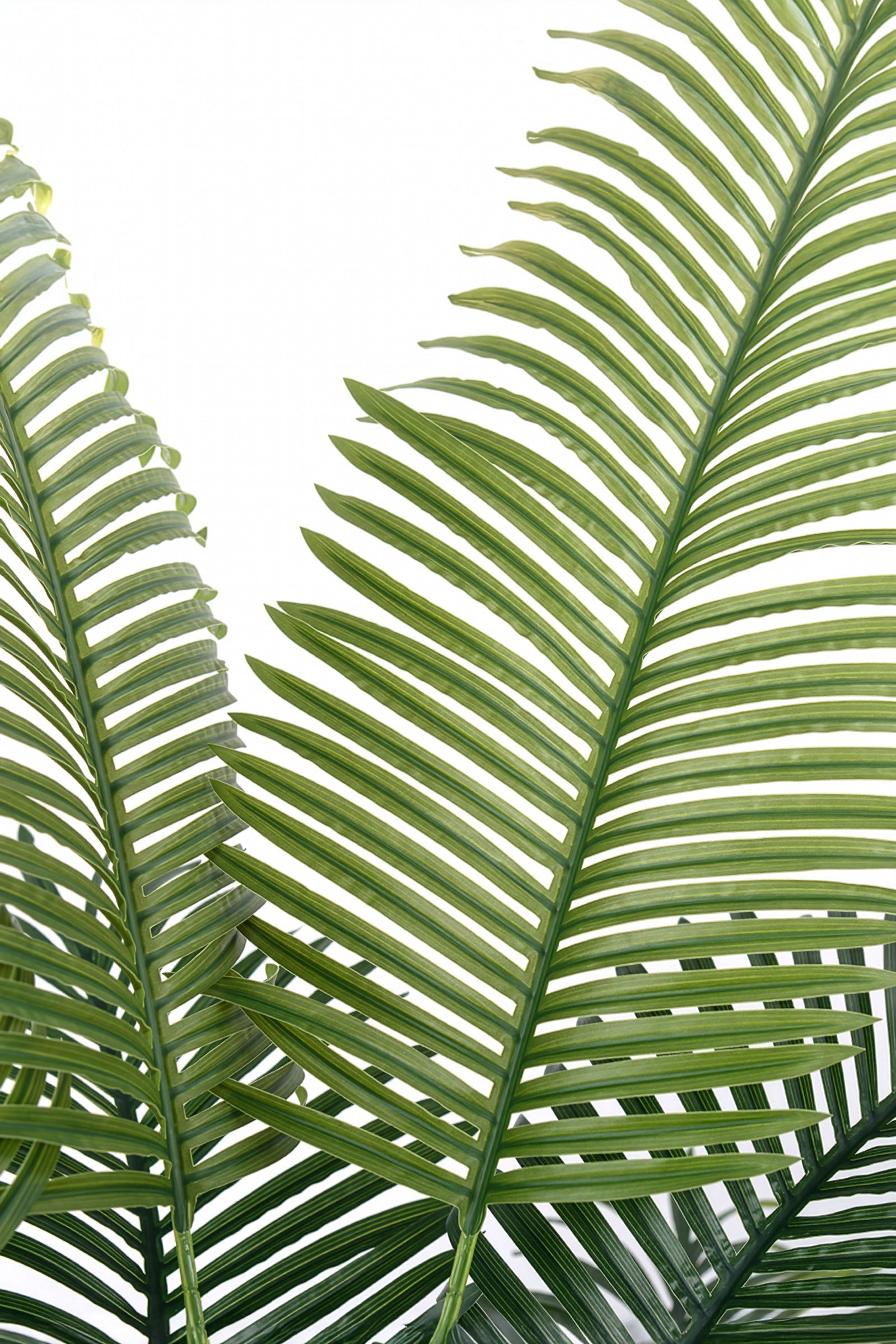 Palm H: Artificial Palm Tree with Realistic Palm Fiber Trunk