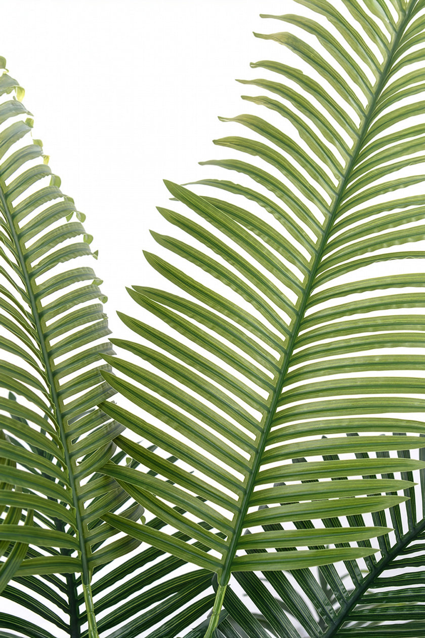 Palm H: Artificial Palm Tree with Realistic Palm Fiber Trunk