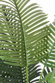 Palm H: Artificial Palm Tree with Realistic Palm Fiber Trunk