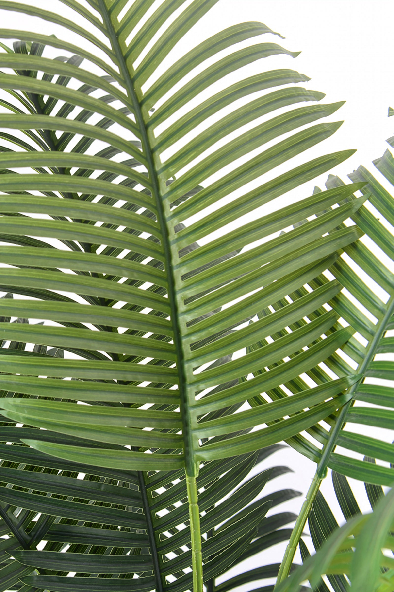 Palm H: Artificial Palm Tree with Realistic Palm Fiber Trunk