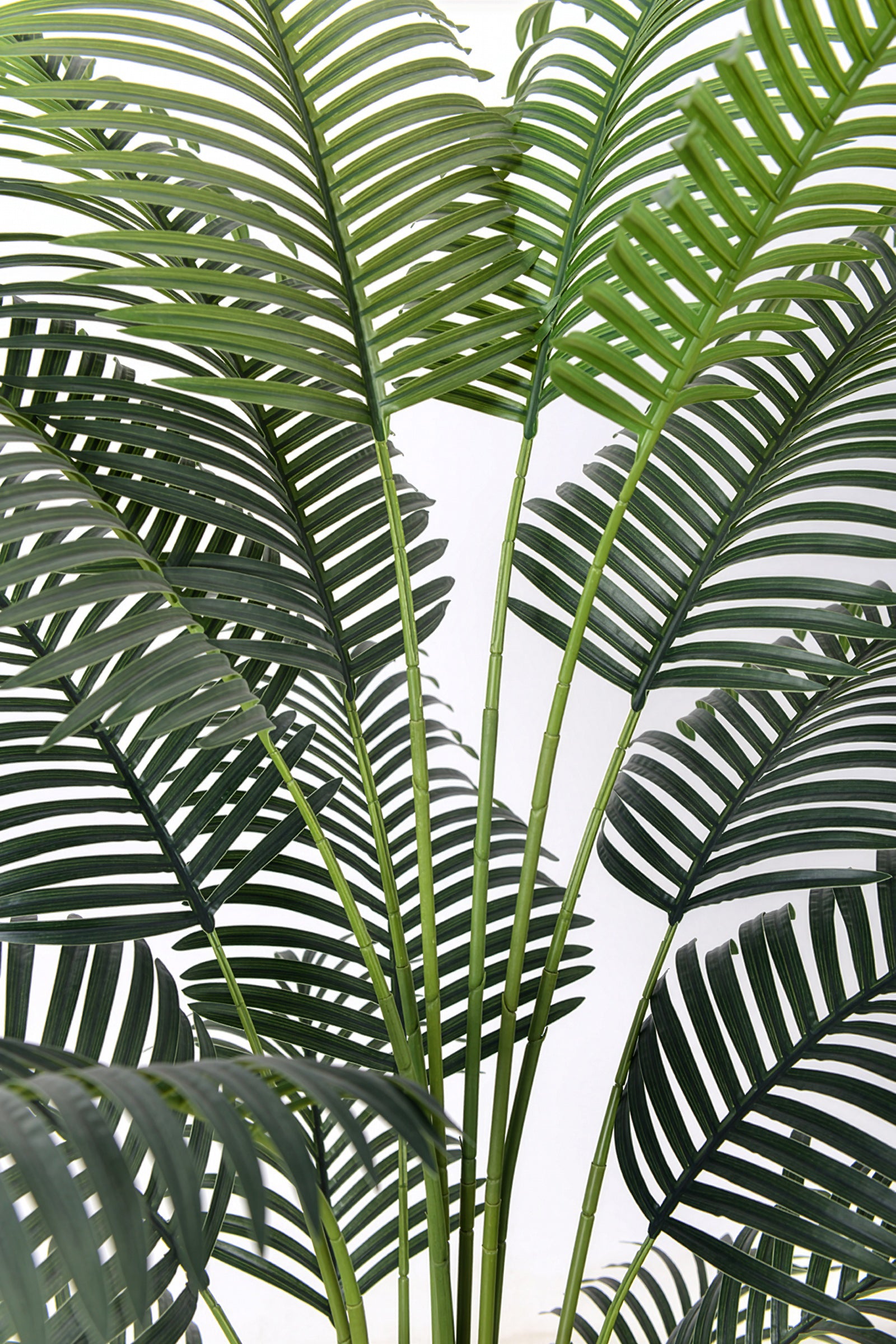 Palm H: Artificial Palm Tree with Realistic Palm Fiber Trunk
