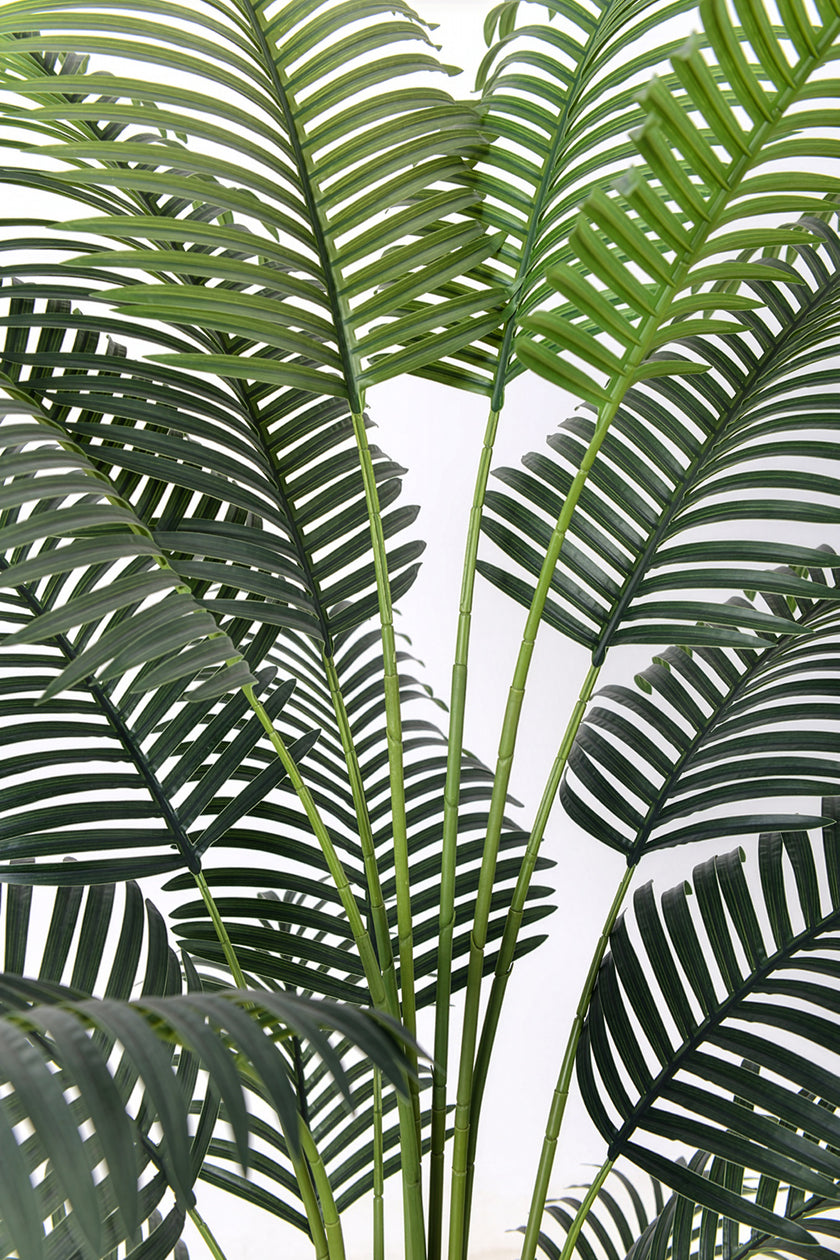 Palm H: Artificial Palm Tree with Realistic Palm Fiber Trunk