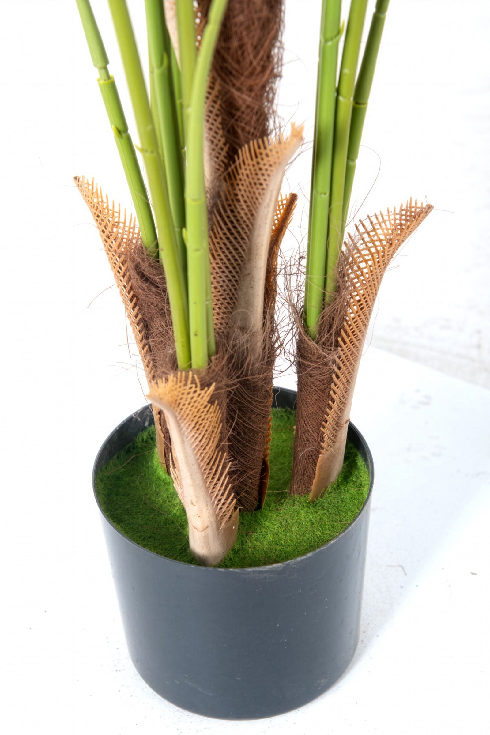Palm H: Artificial Palm Tree with Realistic Palm Fiber Trunk