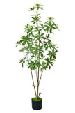 Artificial Pieris Tree with Realistic Branch Structure